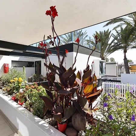 Blanca - Maspalomas * Maspalomas (Gran Canaria)